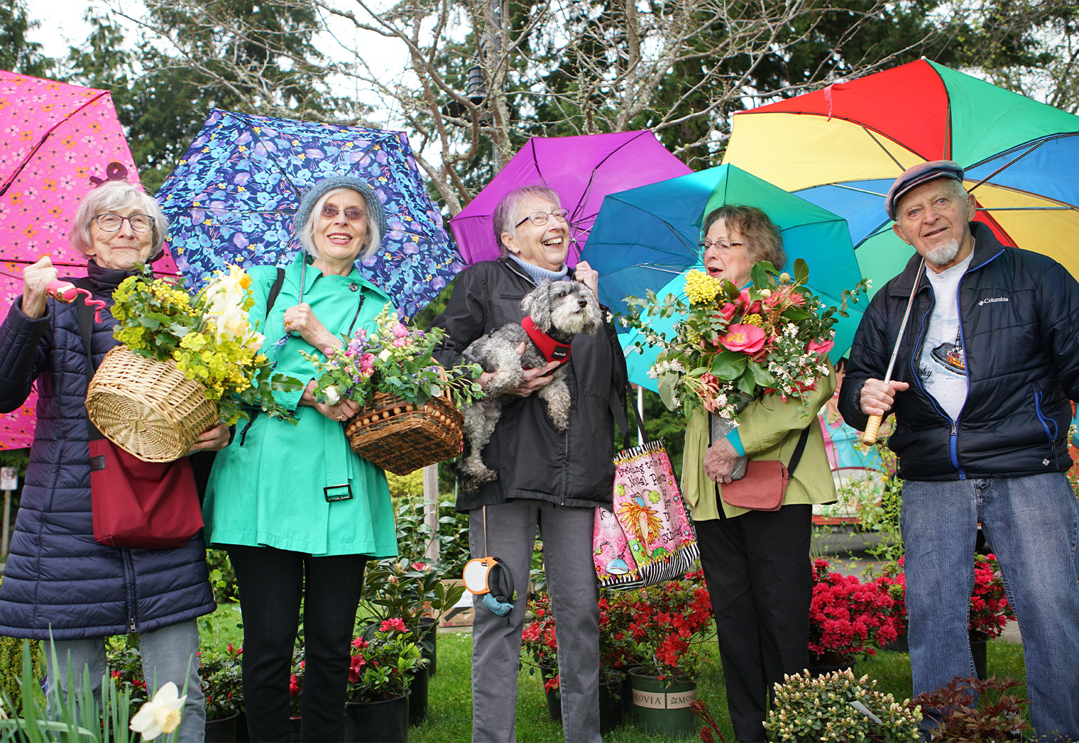Offering Memory Care Kitsap County Bainbridge Senior Living